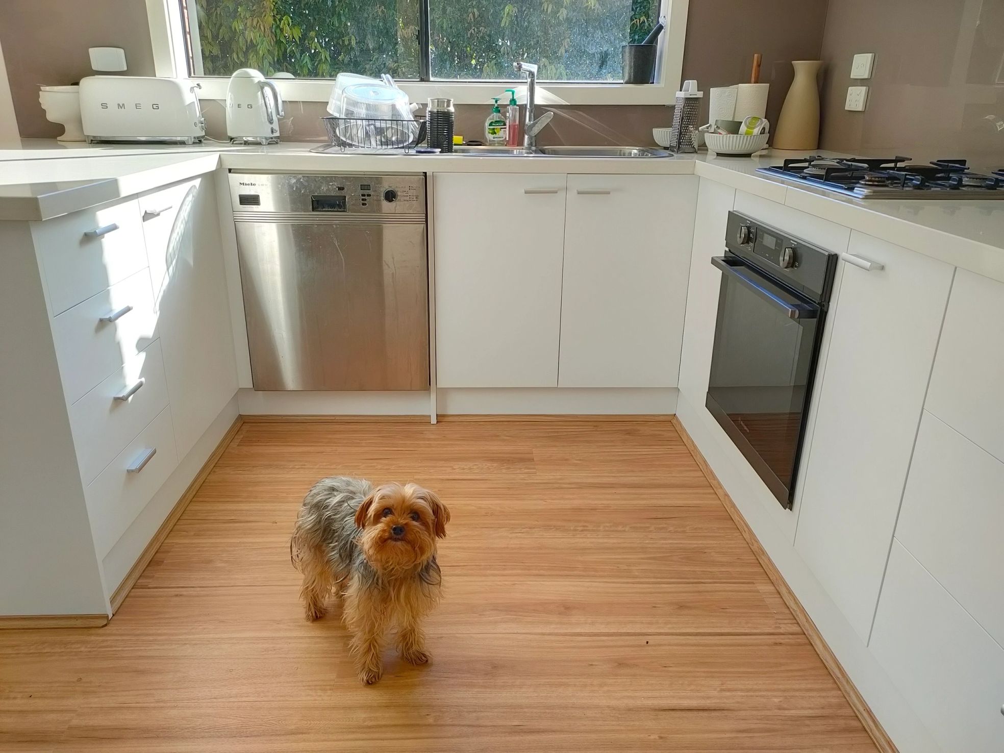 White kitchen with timber floors
